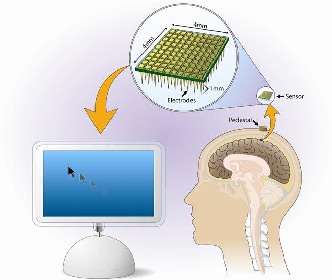 What a brain-controlled computer might feel like 