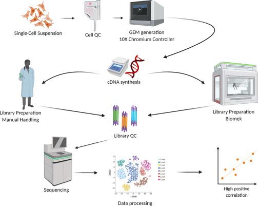 Automate Your Low-Throughput NGS Library Preparation, Get Back to the Science 