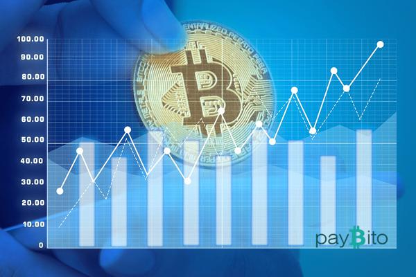 PayBito's Portfolio Management Tech Gains Popularity Across UK Crypto Trading Markets 