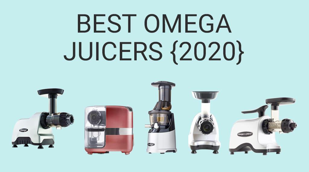 Buying guide for the best omega juicers 