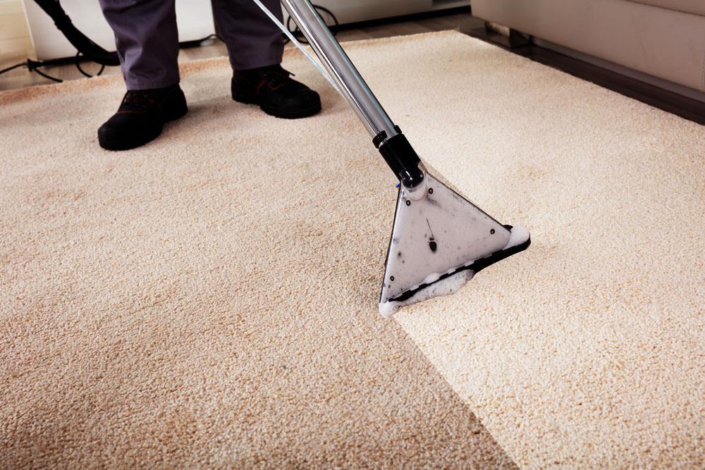 How Long for Carpet to Dry After Cleaning?