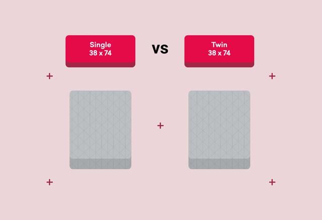 Single vs. Twin Bed Size: What’s the Difference? 