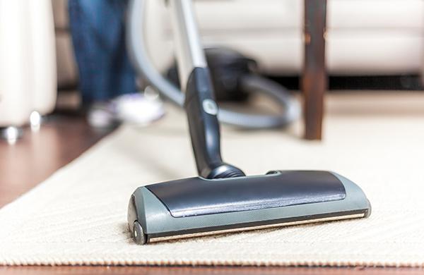 Professional Carpet Cleaning: What to Know Before You Book Sign up for 20% OFF