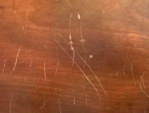 How to Remove Fingerprints from Wood Furniture 
