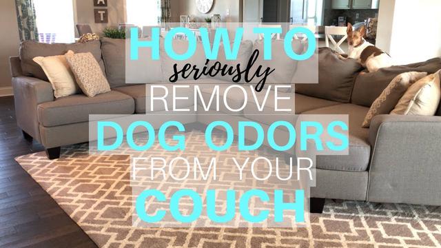 How to Remove Odors from a Couch 