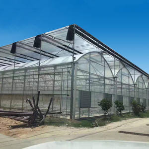 The Pros and Cons of Plastic Greenhouses: What You Need to Know