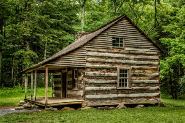 Enjoying Nature: Essential Supplies in your Log Cabin