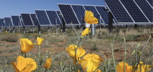 Solar Power Initiatives In Africa- Success Stories and Best Practices 