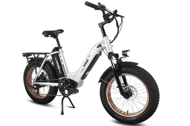 The Best Cargo ebike With Innovative Technology
