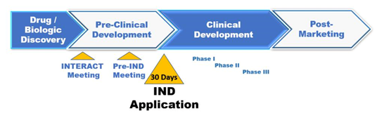 What Are the Key Differences Between IND and NDA?