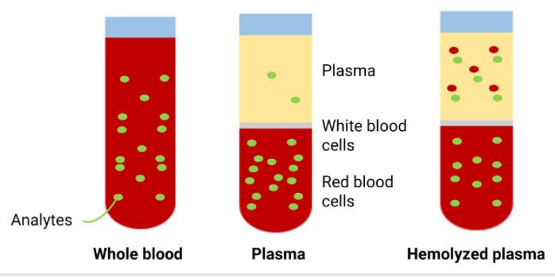 How to Prepare Samples for Hemolysis Labs Analysis