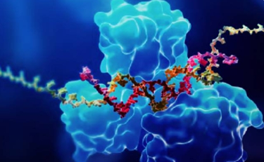 What Techniques Are Used in DMPK Bioanalysis?