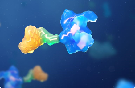 How Do PDCs Enhance Targeted Drug Delivery?