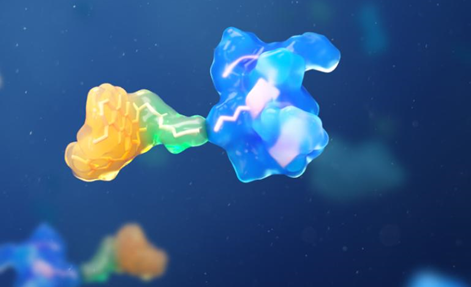 How Do PDCs Improve Drug Selectivity in Cancer Treatment?