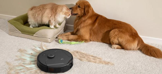 Are Robot Vacuums Safe for Homes with Pets and Children?