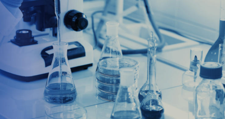 Why Is Immunogenicity Testing Essential for Biologics?