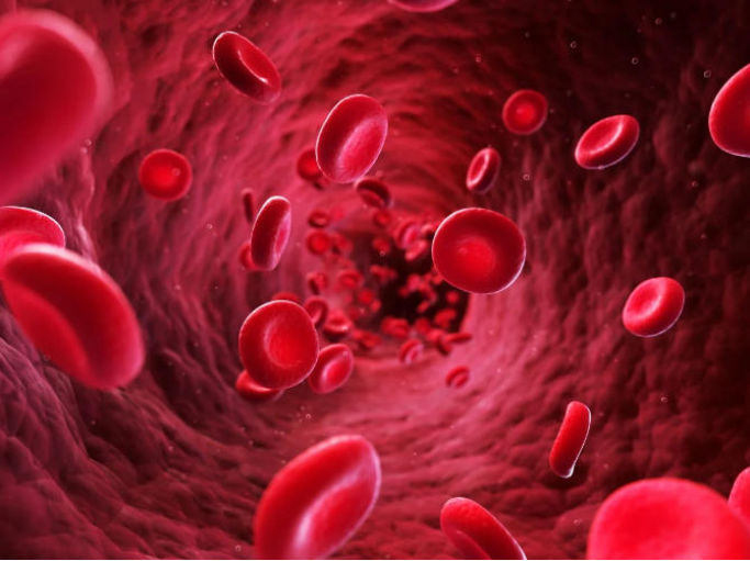 Highly-Bound Drug Candidates and Protein-Binding Challenges