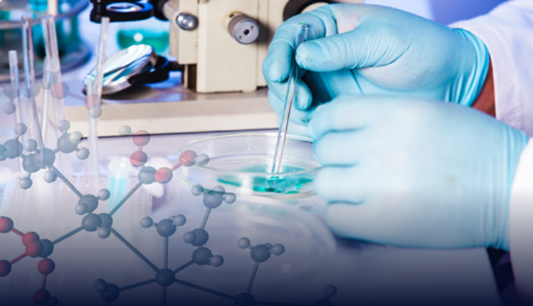 DMPK Service Essentials: In Vitro ADME to In Vivo PK Explained