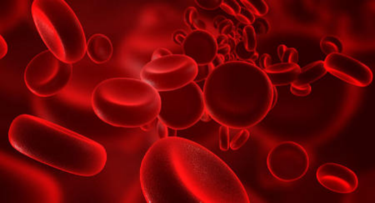 Highly-Bound Drug Candidates and Protein-Binding Challenges Highly-Bound Drug Candidates and Protein-Binding Challenges