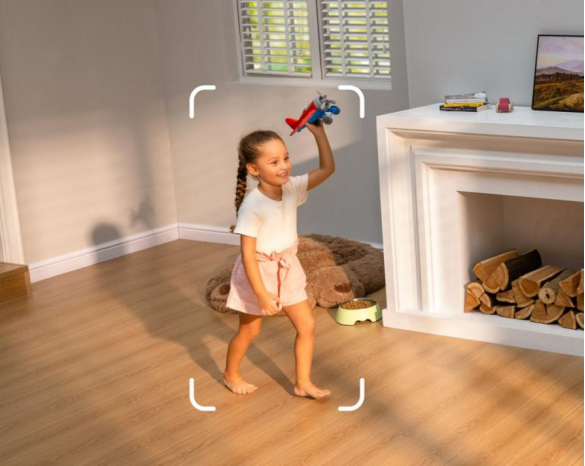 What Makes PTZ Cameras Effective for Active Monitoring? 