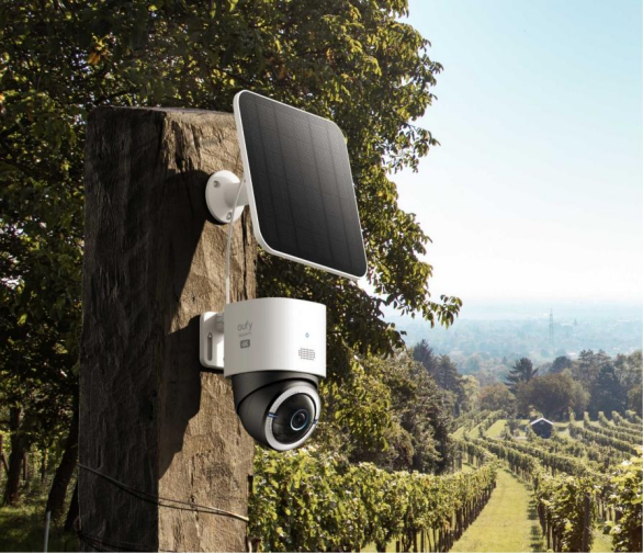 Can Security Cameras Work Without Internet Access? 