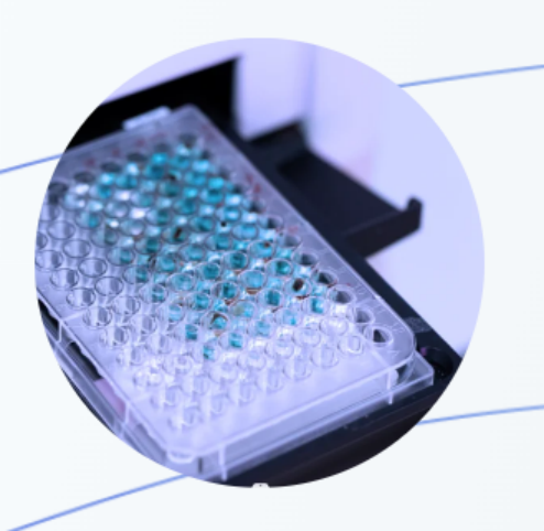 How Do DMPK Studies Predict Drug Safety Profiles?