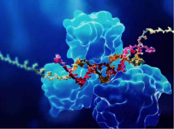 Oligonucleotide Therapeutics: Mechanisms & Trends 