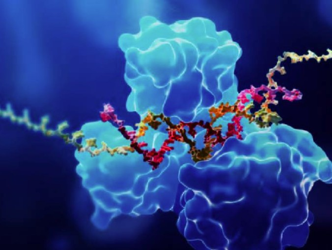 What Is In Vitro ADME and Why Is It Important? 