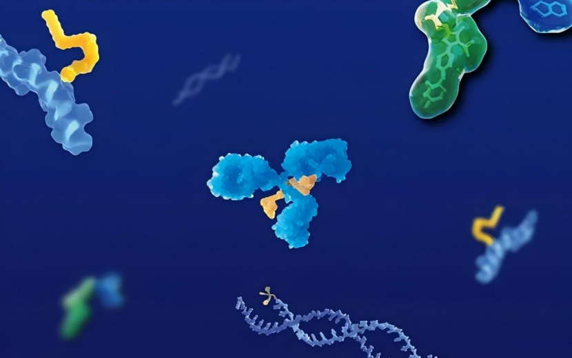 How Does A Fab Fragment Differ From Full IgG Antibodies? 