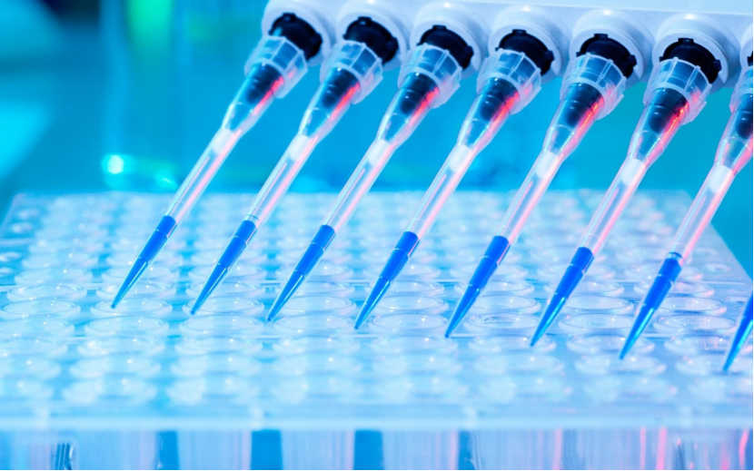 What Happens When CYP Enzyme Activity Is Blocked?