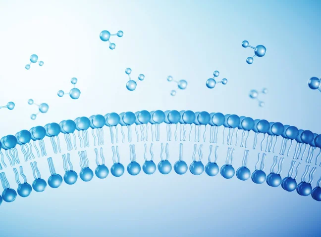 What Risks Emerge When ADME Data Are Misinterpreted? 