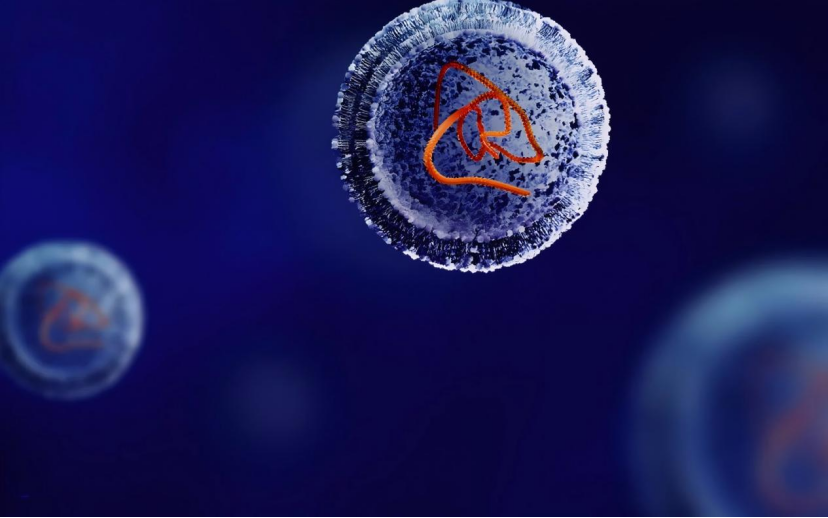 How Does Fab Size Affect Pharmacokinetics? 