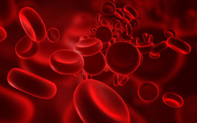 How Can You Prevent Hemolyzed Blood in Bioanalysis? 