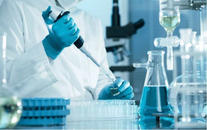 What Are In Vitro Models for Glutathione Conjugation? 