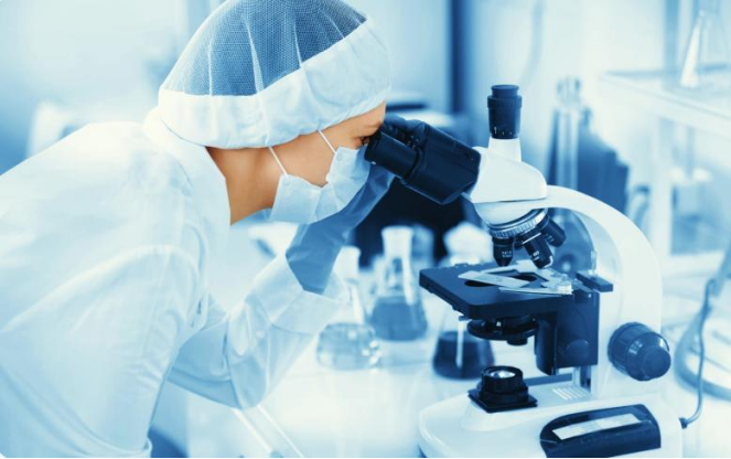 What Are the Key CYP Enzymes in Inhibition Studies? 