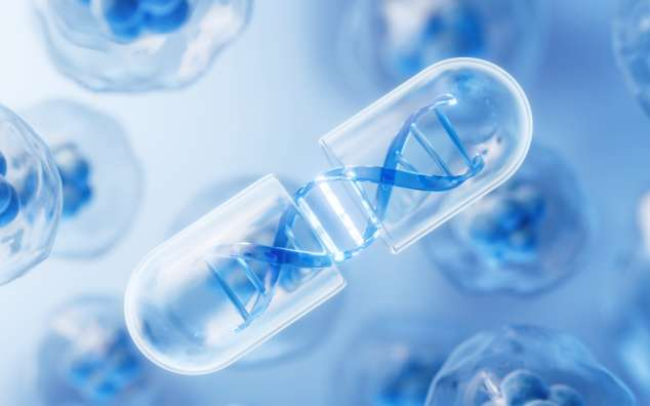 What Are the Key CYP Enzymes in Inhibition Studies? 