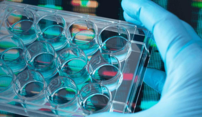 Managing Hemolyzed Blood Samples in Bioanalysis 