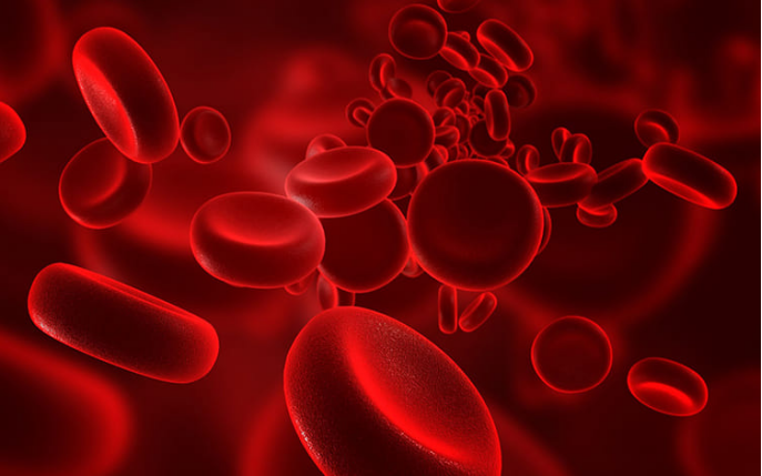 Managing Hemolyzed Blood Samples in Bioanalysis 