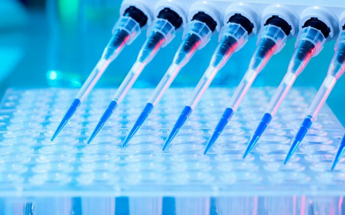 What Are DMPK Services in Drug Development? 