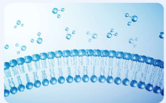 What Makes Lipophilicity Crucial in Drug Discovery? 