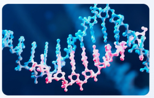 How Does RP-HPLC Measure Lipophilicity Efficiently? 
