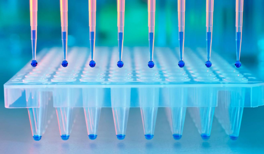 What Is In Vitro ADME and Why Does It Matter? What Is In Vitro ADME and Why Does It Matter?