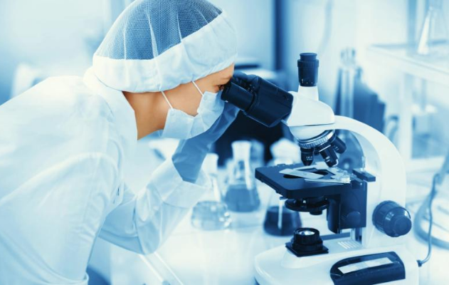 What Should You Expect From In Vitro ADME Services? What Should You Expect From In Vitro ADME Services?