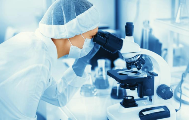 In Vitro ADME Services Across the Drug Development Path 