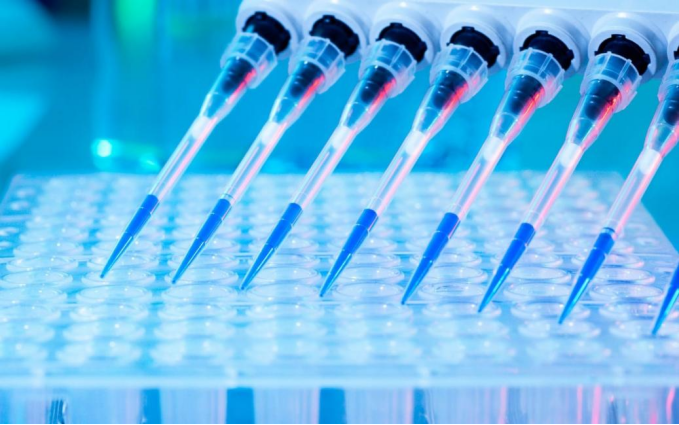 In Vitro ADME Services Across the Drug Development Path 